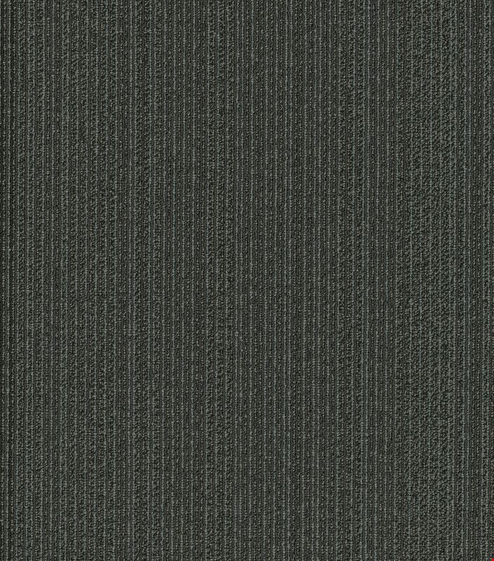 Shaw Practical: Rational 24" x 24" Carpet Tile 54924 24510