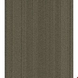 Shaw Practical: Feasible 24