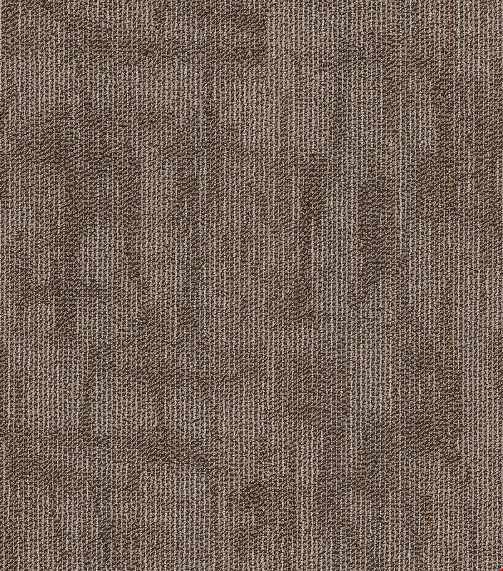 Shaw Crackled: Compose 24" x 24" Carpet Tile 54871 200
