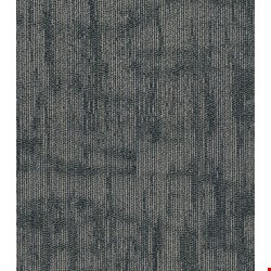 Shaw Crackled: Imagine 24