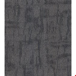 Shaw Crackled: Sculpt 24