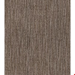 Shaw Fractured: Compose 24