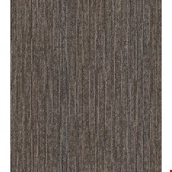 Shaw Fractured: Construct 24