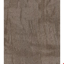 Shaw Chiseled: Compose 24