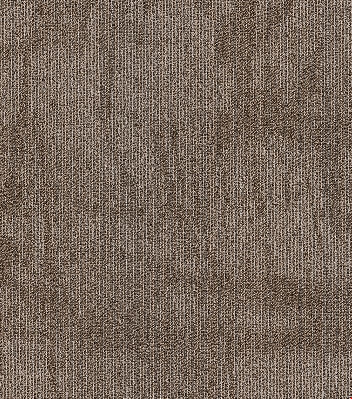 Shaw Chiseled: Compose 24" x 24" Carpet Tile 54870 200