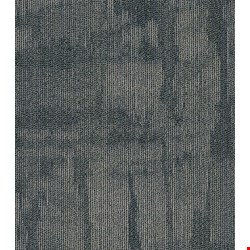 Shaw Chiseled: Imagine 24