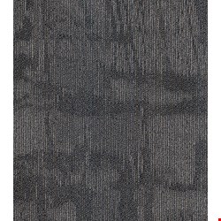 Shaw Chiseled: Sculpt 24