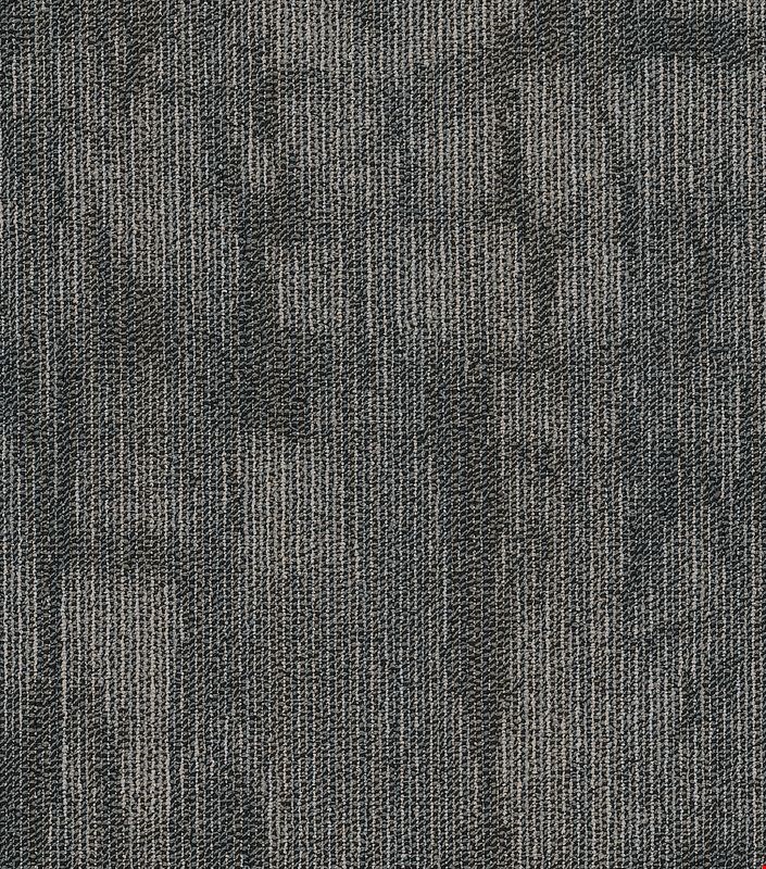 Shaw Chiseled: Model 24" x 24" Carpet Tile 54870 505