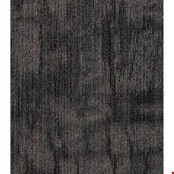 Shaw Chiseled: Create 24