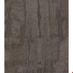 Shaw Chiseled: Construct 24