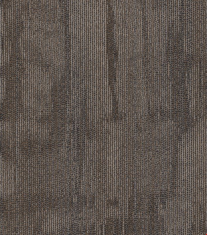 Shaw Chiseled: Construct 24" x 24" Carpet Tile 54870 700