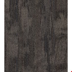 Shaw Chiseled: Form 24