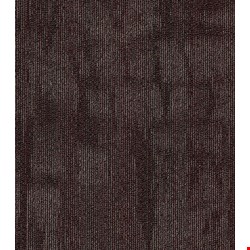 Shaw Chiseled: Produce 24