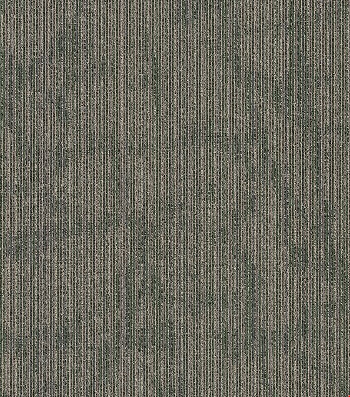 Shaw Hipster: Code 24" x 24" Carpet Tile 54895 300