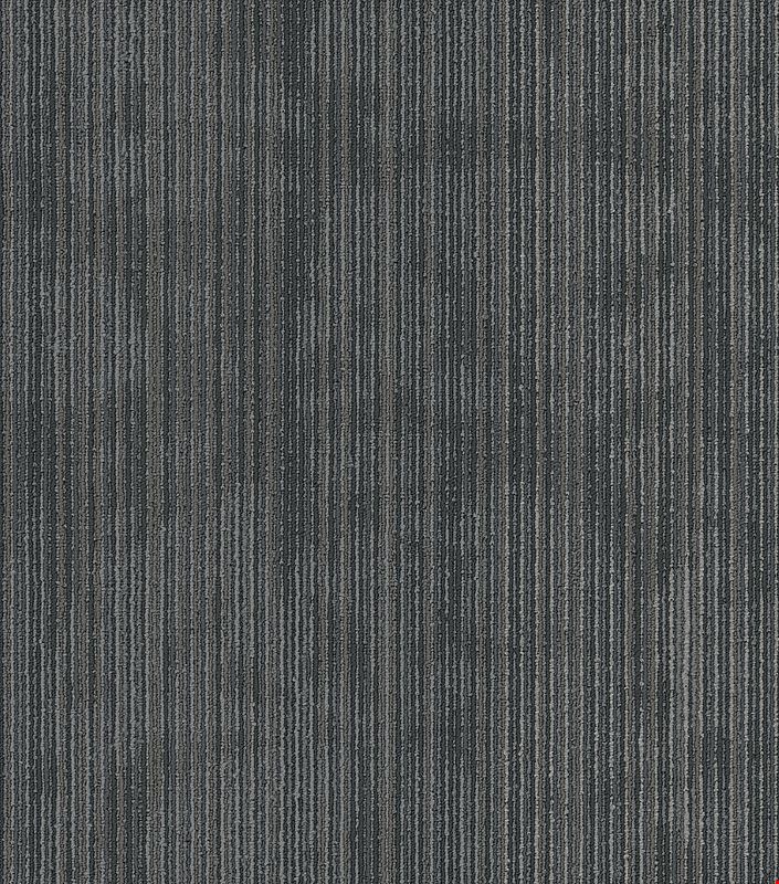 Shaw Hipster: Tag 24" x 24" Carpet Tile 54895 500