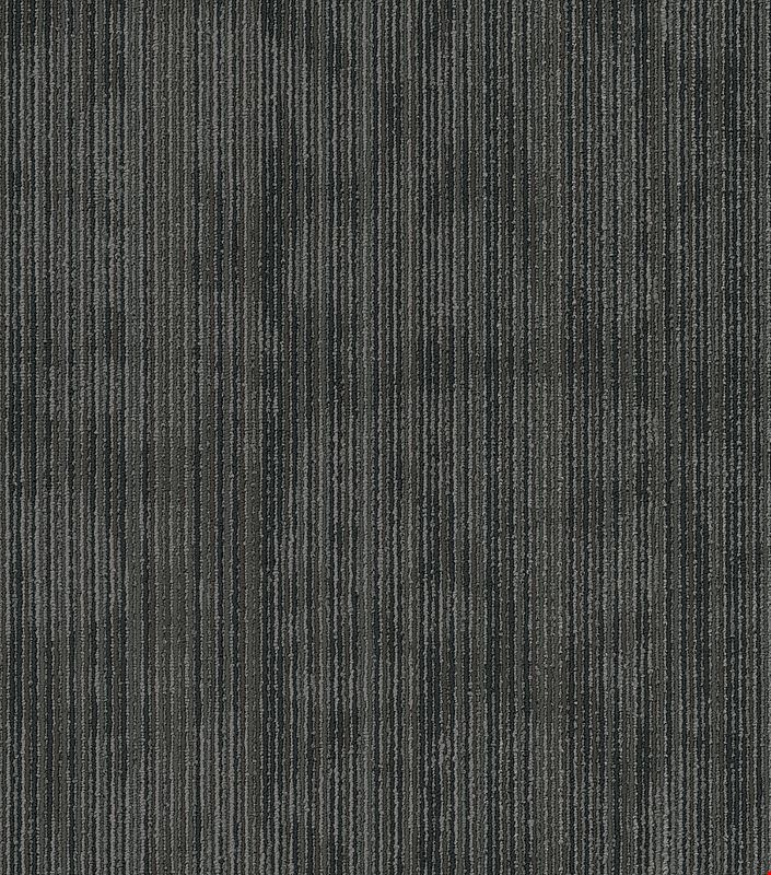Shaw Hipster: Kobra 24" x 24" Carpet Tile 54895 504