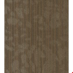 Shaw Hipster: Raw 24