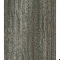 Shaw Off Beat: Code 24