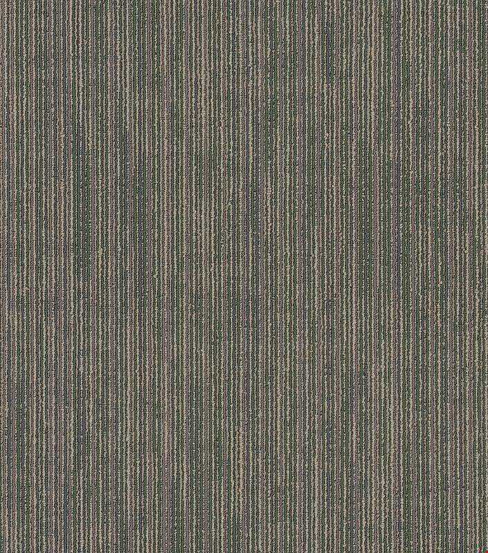 Shaw Off Beat: Code 24" x 24" Carpet Tile 54896 300