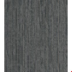 Shaw Off Beat: Tag 24