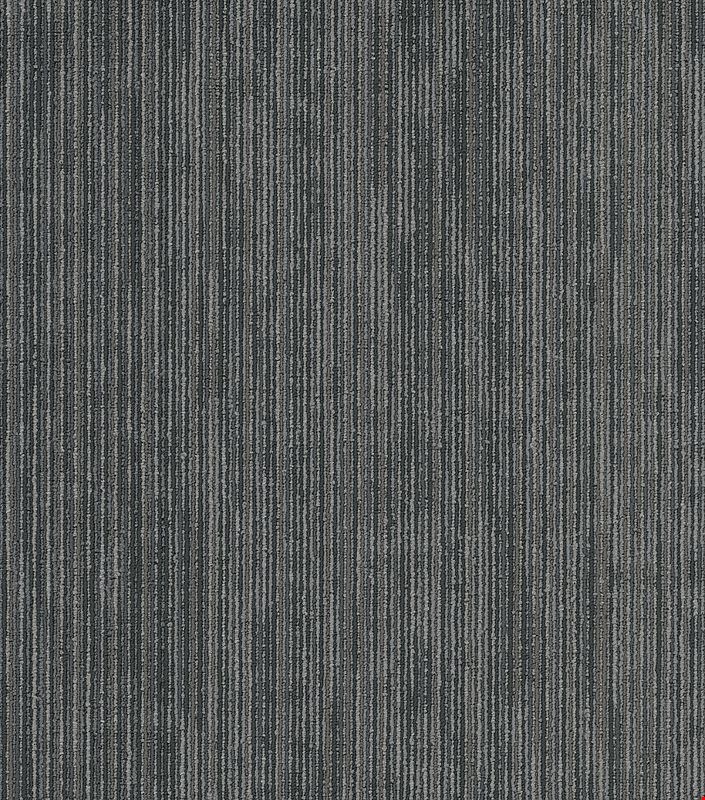 Shaw Off Beat: Tag 24" x 24" Carpet Tile 54896 500