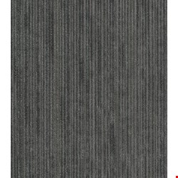 Shaw Off Beat: Kobra 24