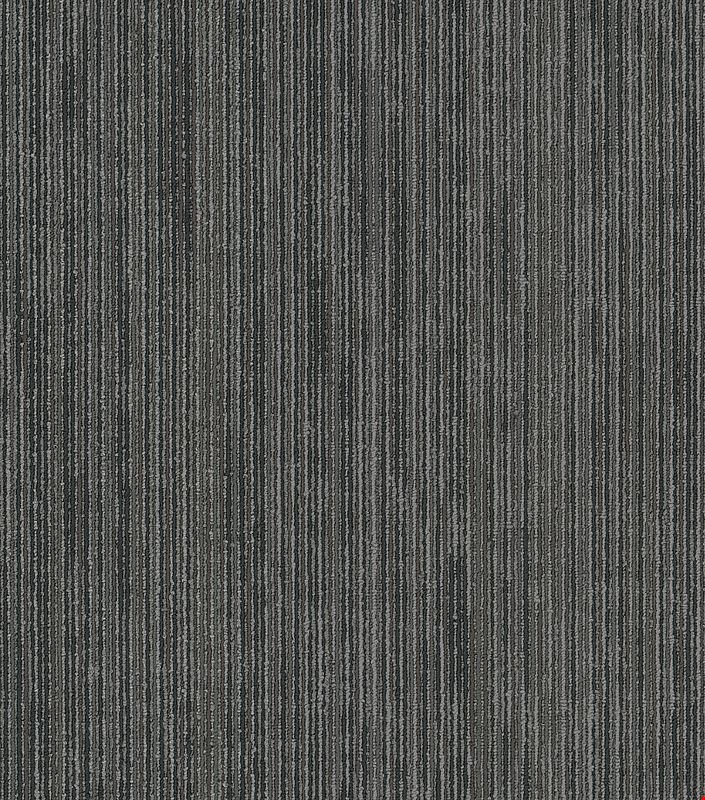 Shaw Off Beat: Kobra 24" x 24" Carpet Tile 54896 504