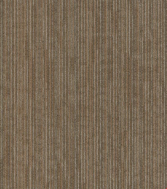 Shaw Off Beat: Raw 24" x 24" Carpet Tile 54896 700