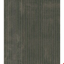 Shaw Wildstyle: Code 24