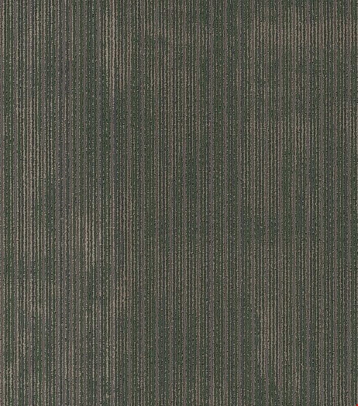 Shaw Wildstyle: Code 24" x 24" Carpet Tile 54897 300