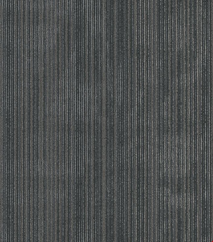 Shaw Wildstyle: Tag 24" x 24" Carpet Tile 54897 500