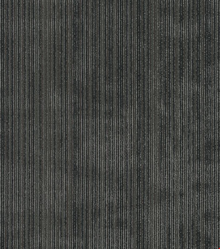 Shaw Wildstyle: Kobra 24" x 24" Carpet Tile 54897 504