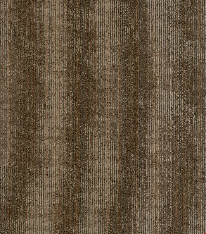 Shaw Wildstyle: Raw 24" x 24" Carpet Tile 54897 700