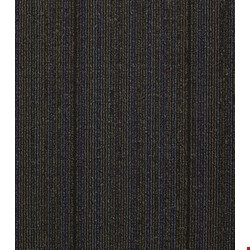 Shaw Wired: Magnetize 24