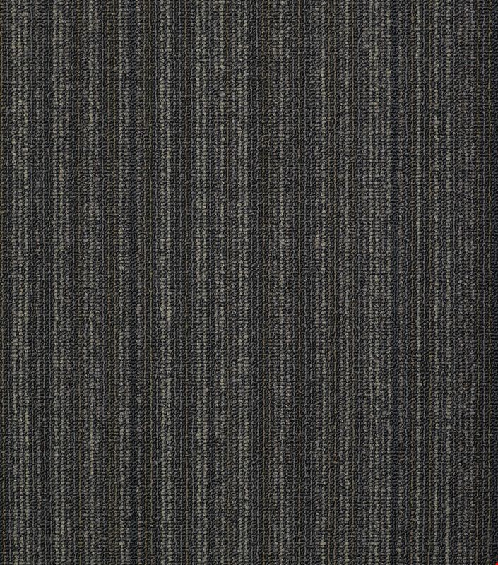 Shaw Wired: Shocked 24" x 24" Carpet Tile 54492 92595