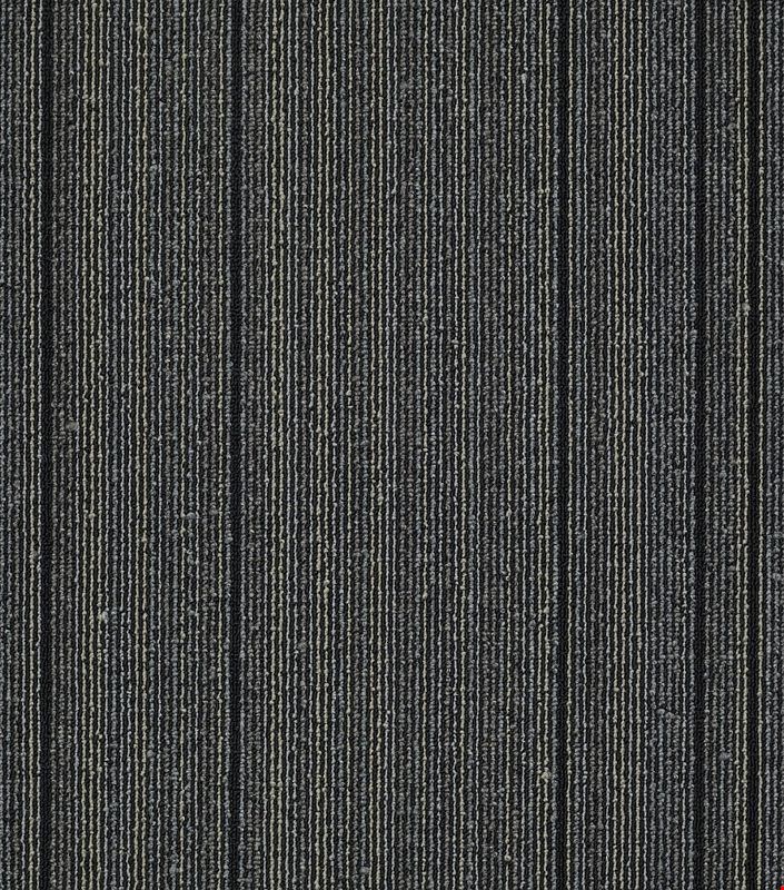 Shaw Wired: Startled 24" x 24" Carpet Tile 54492 92598