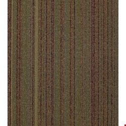 Shaw Wired: Juice 24