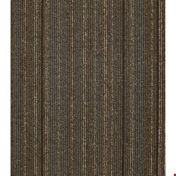 Shaw Wired: Energize 24