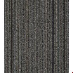 Shaw Wired: Spark 24