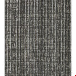 Shaw Straight Shift: Spark 18