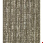 Straight Shift: Incline 54810 200