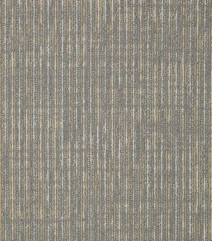 Shaw Straight Shift: Screw 18" x 36" Carpet Tile 54810 505