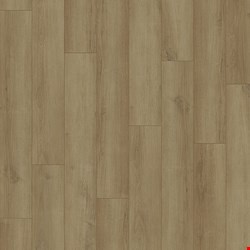 Casabella FirmFit Downtown: King Street 7