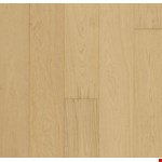 Sand Dollar WEK51-02