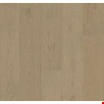 Gravel Shore WEK51-04