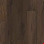 Midnight VV810-03019