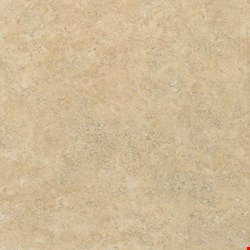 Shaw Palmetto: Beige 13