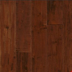 Armstrong American Scrape: Cranberry Woods 3/4