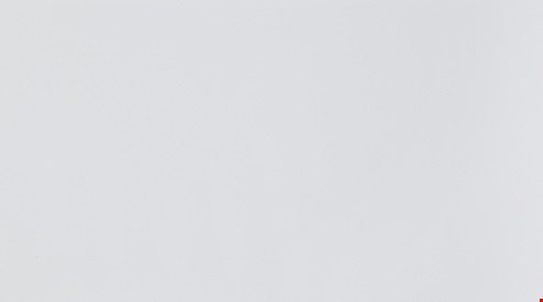 Daltile Composition: Gesso Matte 12" x 24" Glazed Porcelain Wall Tile CP0212241P