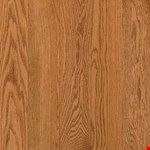 Butterscotch APK5416LG